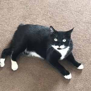 Meet your Posher, Heather